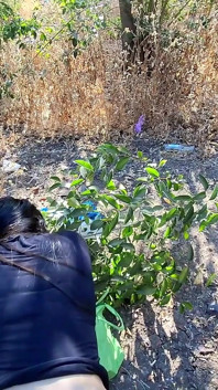 365 de zile de anal - Ziua 191 care nu a fost niciodată filmat de iubitul ei oferindu-i curul în pădure - Aventuri contabil