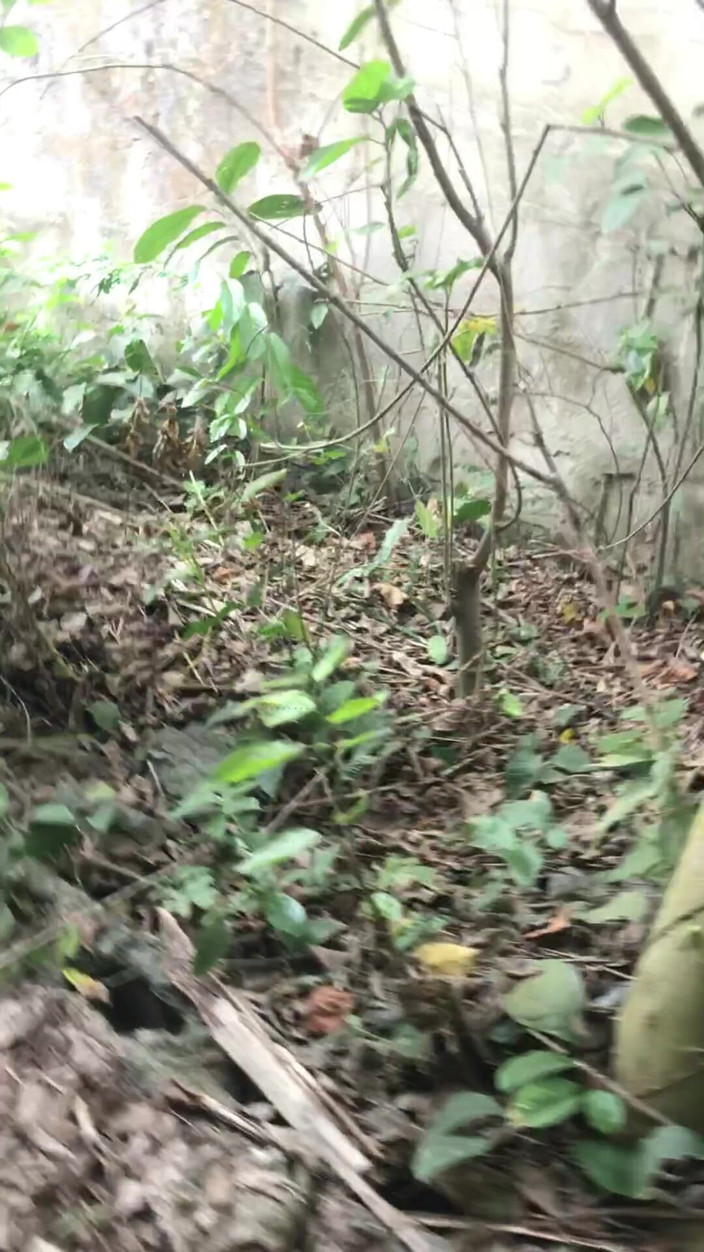 Sexylary: Hermanastro a Hermanastro Al Aire Libre