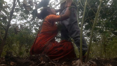 Hot bhabi gold: Tarlada işe gelen baldızı sikiyor