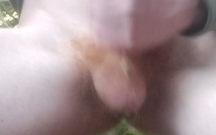 Alexswss: My Dik