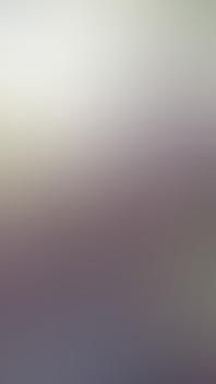 Spring 2026 Two Fat Bears Open Air Live Cam Performance