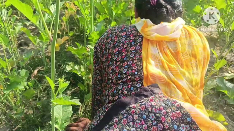 Savita5343: Köylü desi yenge hardal tarlasında domalarak sikiliyor. Dewar ile açık...