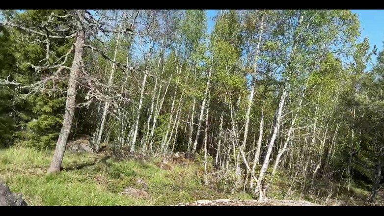 JohannWood: Sluníčko