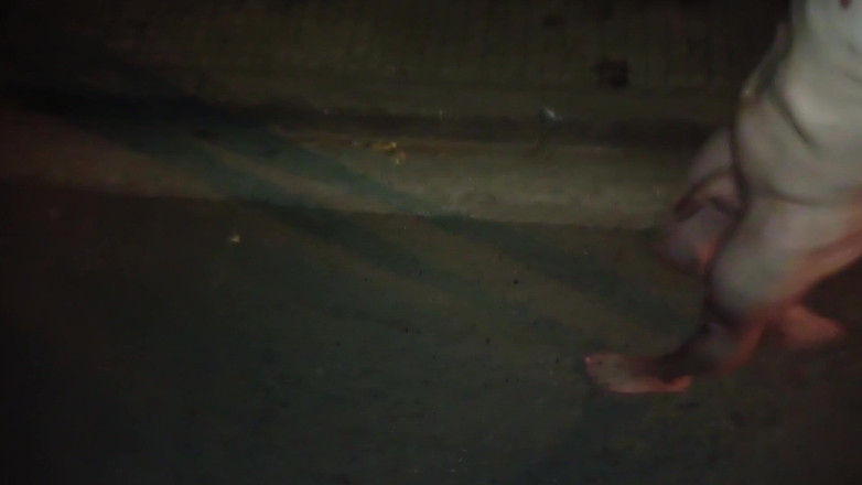 Dan Eagle: Banho De Mijo Nu Na Rua