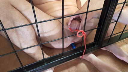 Master Drex: Tied by balls