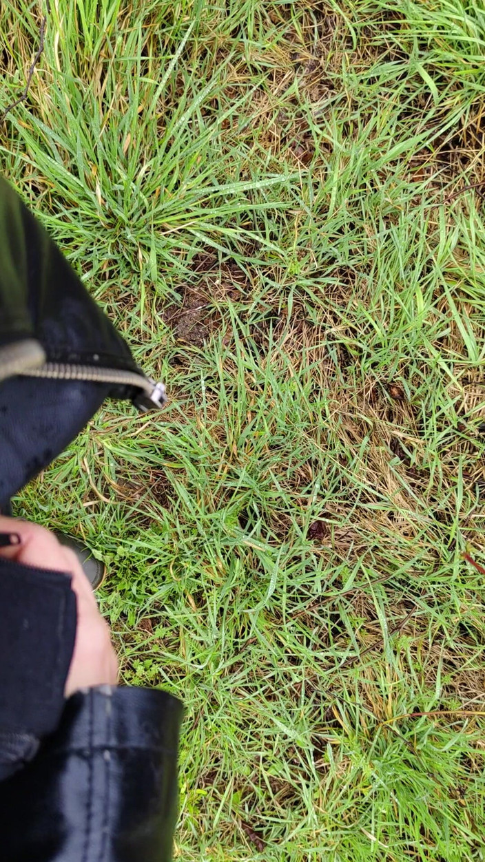 Bayer911: Venkovní chcaní v dešti