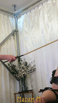Cane Connoisseur, Madam M přináší těžký tradiční vývěr, tělesný trest, poslušnost a vytrvalost.