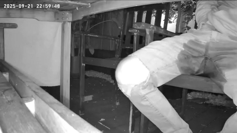 AmateurBoysPissing: Un Amateur Surpris Par Une Caméra À Vision Nocturne En Train...