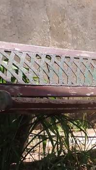 Melancap bogel di halaman rumah