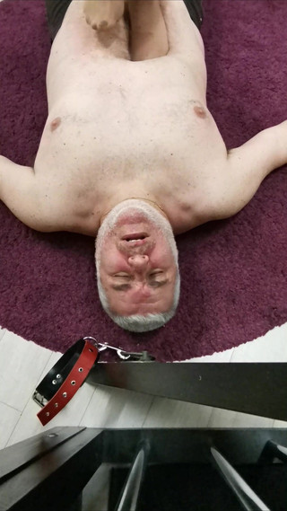 Lady Scarlet: Lady Scarlet - další pohled