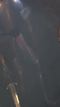 Lesbische halloween-szene 1 wunderschöne lesbische vampir-brünette in latex, die sich gegenseitig essen