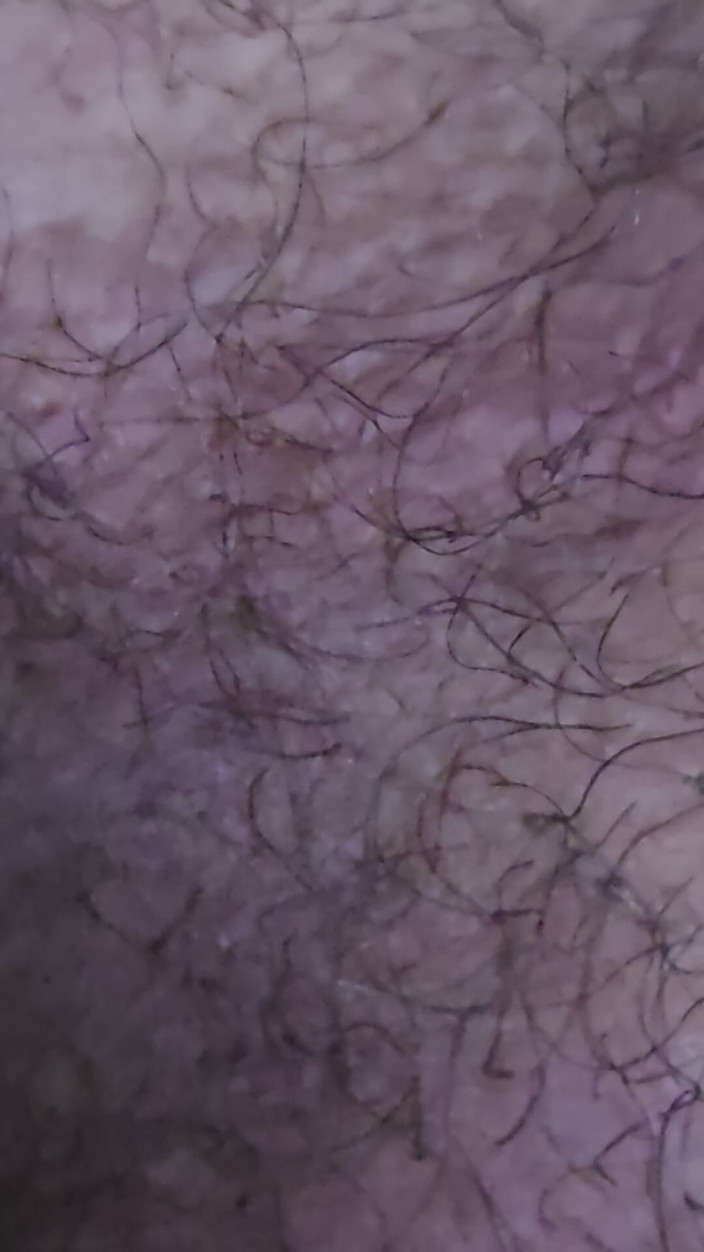 Cryptogenics X: Розважаюся з моїм інструментом