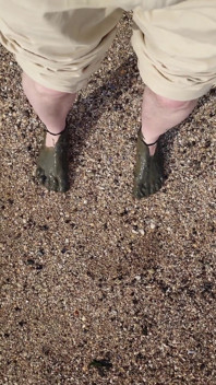 Short Test in the Mudflats on the Beach of Horumersiel