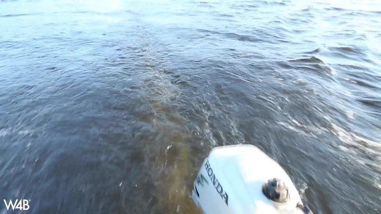 Watch4beauty: 船の上の夏