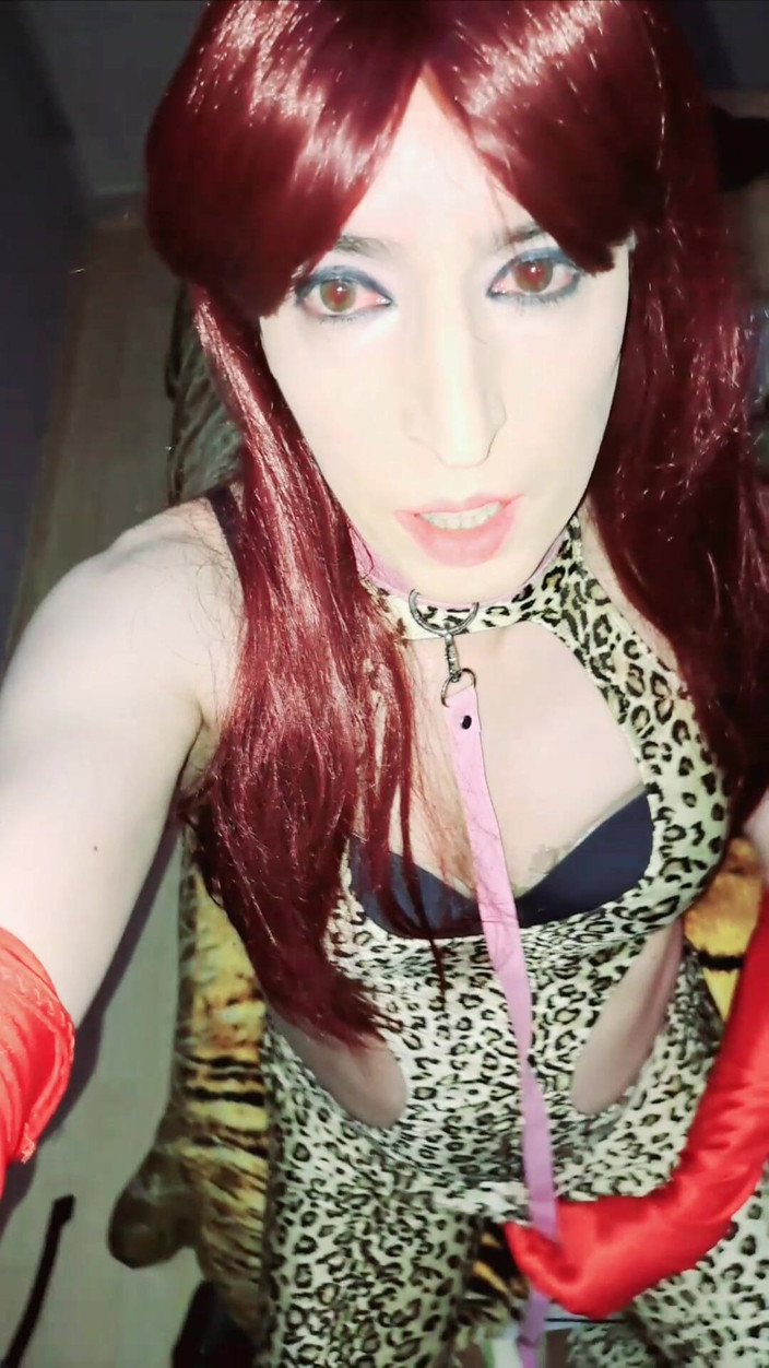 Tammy sissy slave: 자지를 빨기 전에