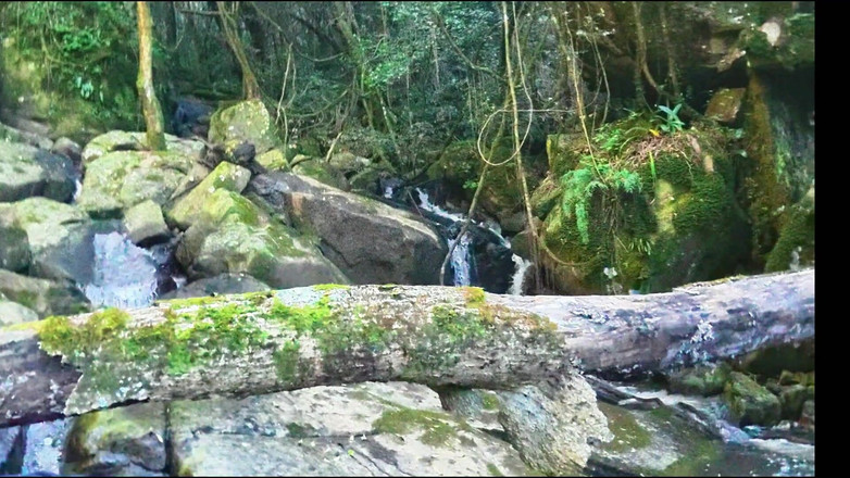 Black Swan: MILF Si Fa Mangiare La Figa E Scopare Al Fiume