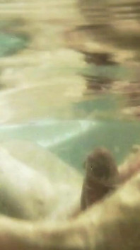 In the Jacuzzi