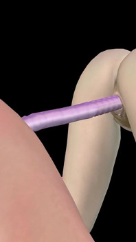 Animated 3D Porn - Beautiful Girl and Asian Man Double Dildo Doggy While Man Stroking