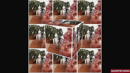 Marmotte_yoomie: Slabí před mým zadkem