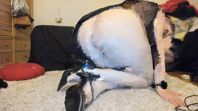 Nicoletta Embassi: 30 minutes de vrais pets