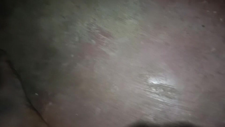 LegalVector8: Masturbasi