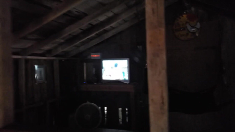 beardaddychub: Niedźwiedź zostaje wkurzony przez BBC