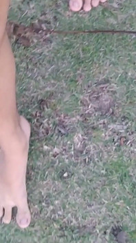 Barefoot Nature Walk