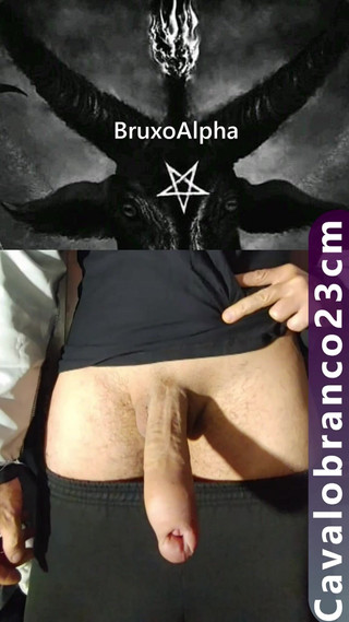 BruxoAlpha777: Como obter um pau grande (chat) Witcheralpha