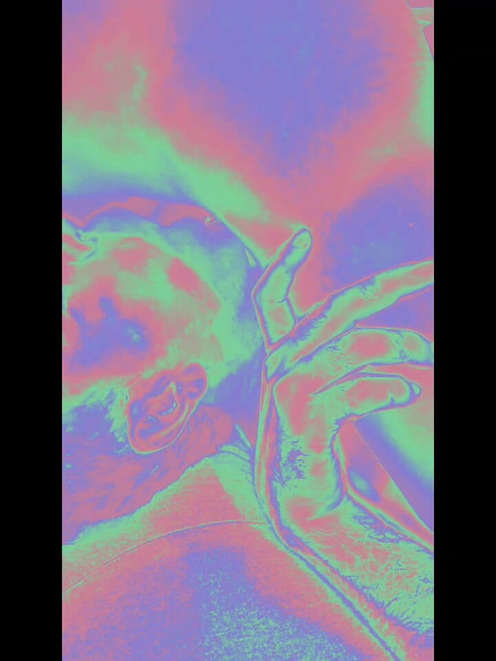 Ladyboy Karl: Sát Ladyboy v Holu