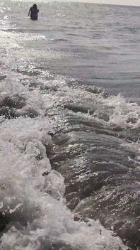 Bts Blooper Open Ocean Phootshot