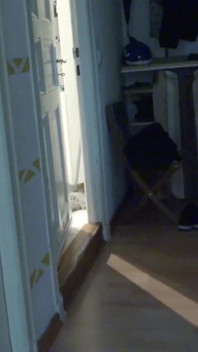 Het styvsyster fångade styvbror runka med sina trosor och hjälp med avrunkning