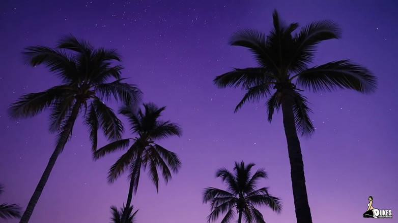 Dukes Hardcore Honeys: Betrügende PAWG-ehefrau fickt einen schwarzen Profiathleten während einer wilden party