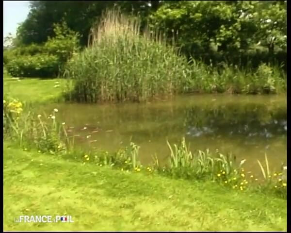 French Family Secrets: До біса, вона хороша!