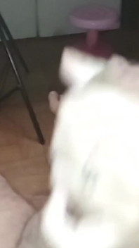 Pompino di una calda milf bionda