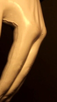 The mannequin dark desires gay big cock tuyển tập