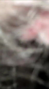 Lil Mary Nasty Maid Vs Dat Cat N Da Hat Reamed, Gaped & Creamed