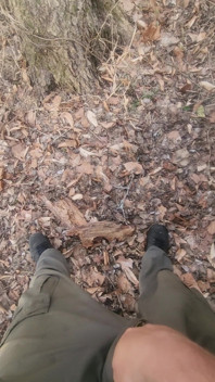 Piss in the Woods