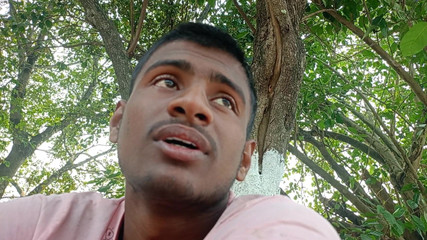 LinearOrnament35: Talking Video