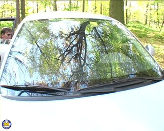 Mature NL: O yarakları gerçekten seviyor