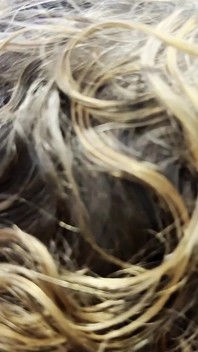 My Hairy Pink Hole Gets Pounded Hard While I Goon Out Verbally