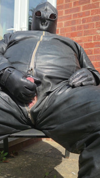 Leather in the Sun