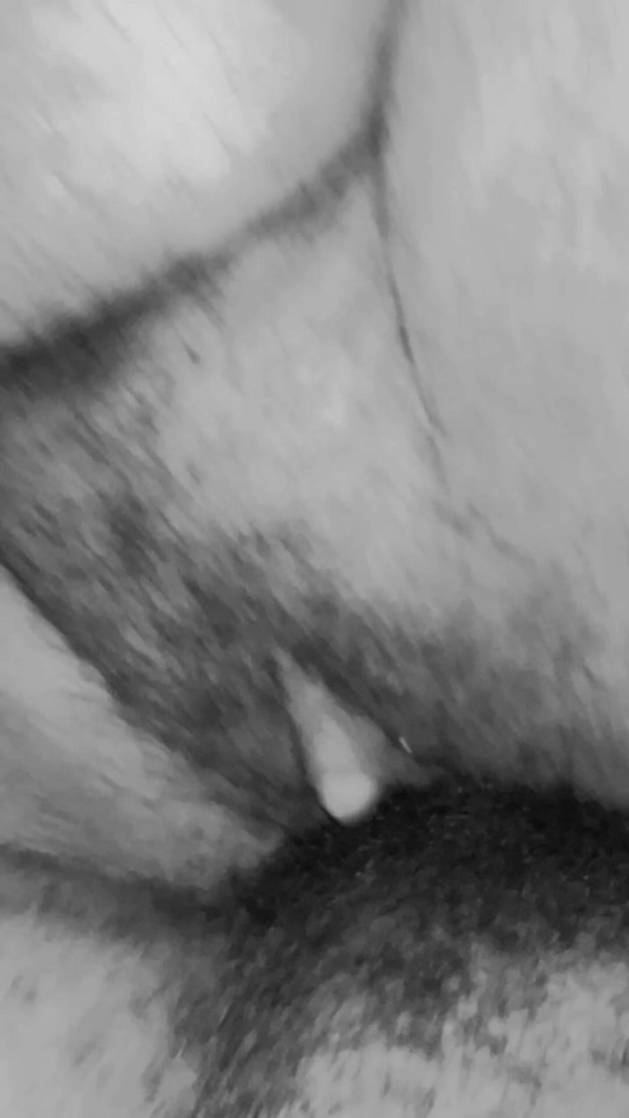 Iiwiii11BBC4trans: Je zpět a bere ptáka