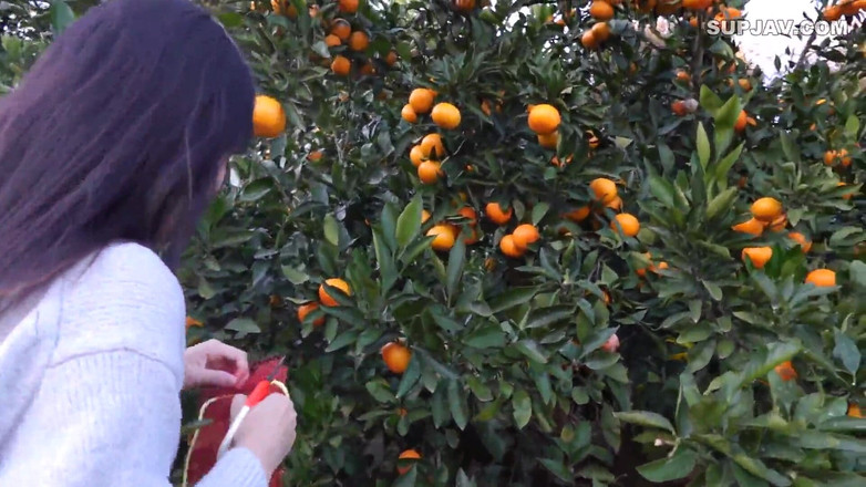 Asian cutie: Asijský anděl 21011