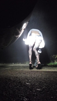 2 French Transvestites Offered in the Forest. 4degrees 3hoo Vanessabitchx Parischiennetrvprod91