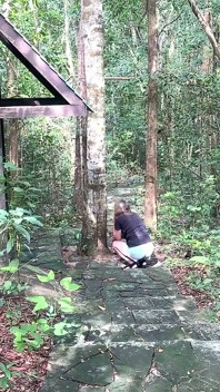 Desejo zumbi: transformação sem censura