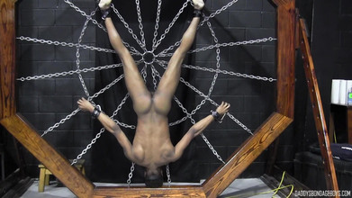 Daddy's Bondage Boys: Rt tål anal plåga