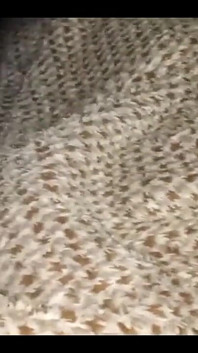 Step Mom and Stepson Anal Fucking in Blanket to Love in Clear Hindi Talk