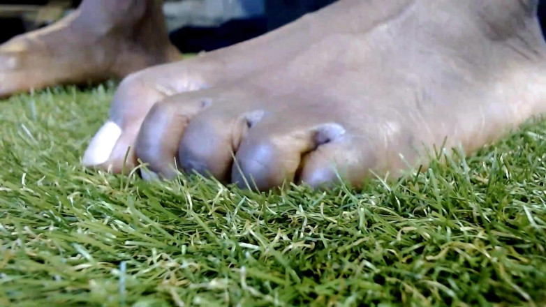 Maeling: Unintended Village Demolition, Stomp Them All, Giantess Bare Feet Tiny...