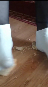 Sneaker Socks and the Toast