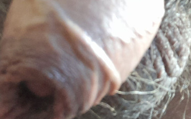 Sebastian Messner: 페니스 위치슨